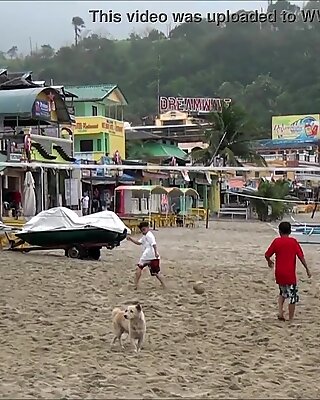 Buck wild viser hvit strand puerto galera filippinene